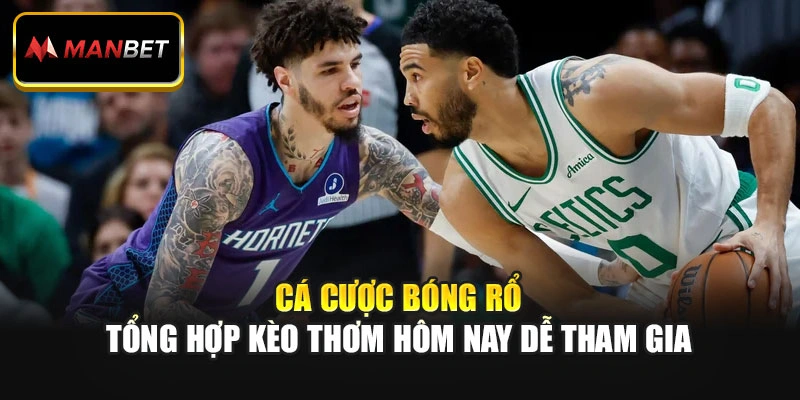 Cá Cược Bóng Rổ - Tổng Hợp Kèo Thơm Hôm Nay Dễ Tham Gia