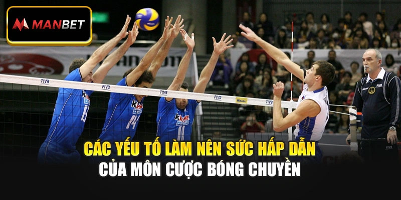 Các yếu tố làm nên sức hấp dẫn của môn cược bóng chuyền