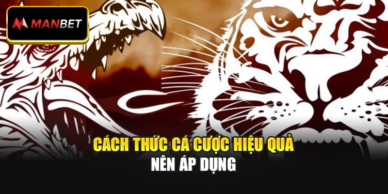 Cách thức cá cược hiệu quả nên áp dụng