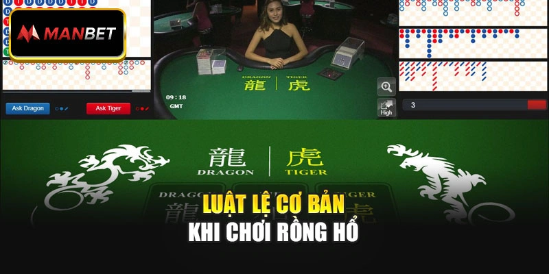 Luật lệ cơ bản khi chơi Rồng Hổ