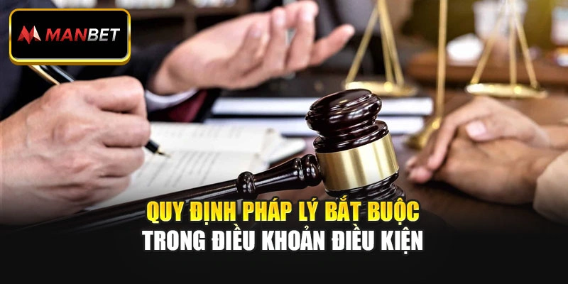 Quy định pháp lý bắt buộc trong điều khoản điều kiện