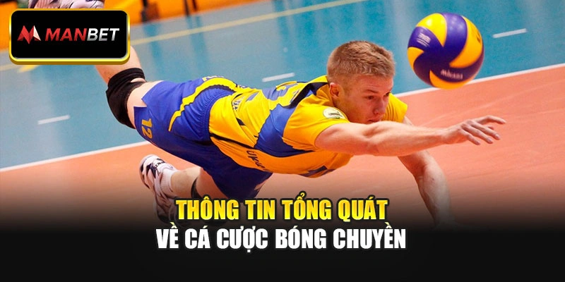 Thông tin tổng quát về cá cược bóng chuyền